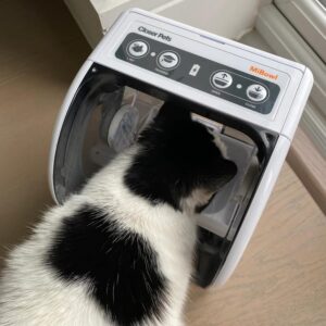 MiBowl Automatic Microchip Pet Feeder